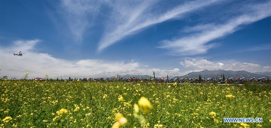 Cyclists ride past a cole flower field in the Tour Round Qinghai Lake International Road Cycling Race in Menyuan Hui Autonomous County, northwest China\'s Qinghai Province, July 28, 2018. The 18th Central Committee of the Communist Party of China (CPC) held the third plenary session in November, 2013. In the five years since then, China\'s reform momentum had been particularly strong as the CPC decided to advance reform in all aspects during the meeting. Since the third plenary session, Chinese President Xi Jinping has presided over at least 45 high-profile meetings on advancing reforms, during which 400 documents and 1,932 reform plans have been launched. As a result, China\'s reform has been expanded from the economic field to a broad sphere including administrative management, culture, society, ecological conservation, Party building, and the military. (Xinhua/Wu Gang)