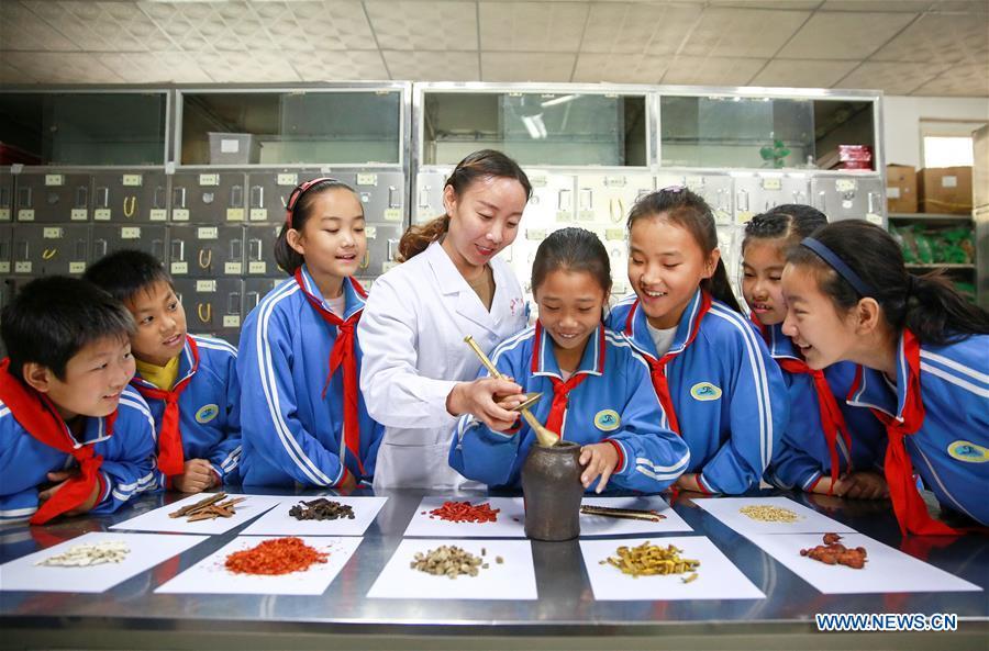 Students experience grinding Chinese herbal medicine at Neiqiu hospital of traditional Chinese medicine in Neiqiu County, north China\'s Hebei Province, Oct. 21, 2018. China\'s primary and middle schools have been urged to improve education for all-around student development, according to a directive issued by authorities. Jointly issued by the Ministry of Education and other eight agencies, the circular asked schools to offer courses that are in accord with the national syllabus in terms of their quantity and quality. The enhancement of courses\' difficulty levels and speed at random and in disregard of the curriculum is prohibited, according to the circular. Primary and junior middle schools are not allowed to set up any \