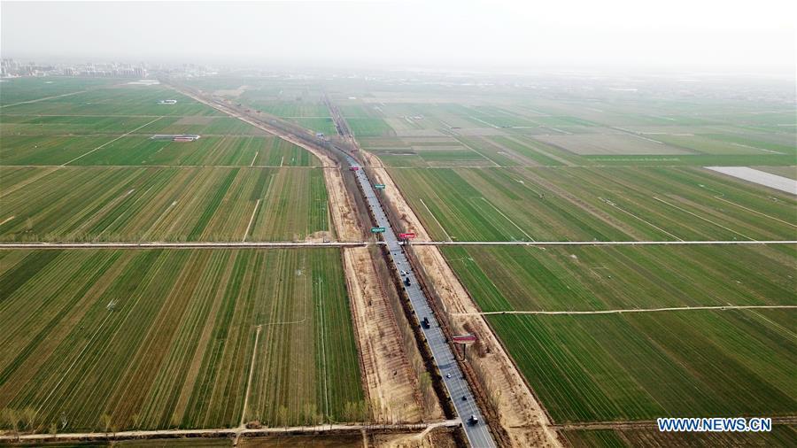 Aerial photo taken on March 29, 2018 shows a wheat field in Dawang Township of Anxin County, which is part of Xiongan New Area, north China\'s Hebei Province. China\'s central authorities have approved the 2018-2035 master plan for Xiongan New Area, stressing that its creation is significant to high-quality development and the building of the modern economic system. The plan was approved by the Central Committee of the Communist Party of China (CPC) and the State Council. The master plan is the fundamental guideline for the development, construction and management of the Xiongan New Area and should be strictly implemented, according to the approval released on Wednesday. The plan also lists overall development goals for the new area. By 2035, Xiongan will basically develop into a modern city that is green, intelligent and livable, with relatively strong competitiveness and harmonious human-environment interaction. (Xinhua/Mu Yu)