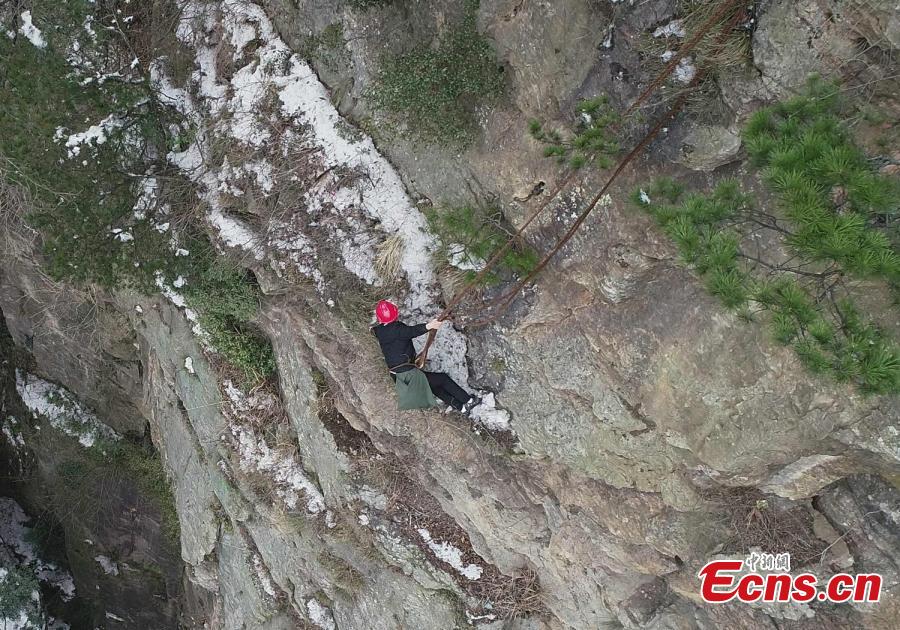 Su Songyun braves the winter cold to abseil down a cliff face and collect rubbish at the Huangshizhai scenic area in Zhangjiajie City, Central China\'s Hunan Province, Jan. 15, 2019. The 34-year-old local farmer began learning the stunt from his father in 2005, and his daredevil antics entertain tourists and enable him to collect garbage otherwise inaccessible on the mountain slope. (Photo: China News Service/Wu Yongbing)