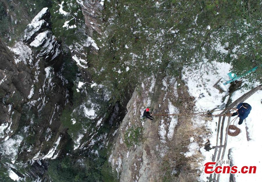 Su Songyun braves the winter cold to abseil down a cliff face and collect rubbish at the Huangshizhai scenic area in Zhangjiajie City, Central China\'s Hunan Province, Jan. 15, 2019. The 34-year-old local farmer began learning the stunt from his father in 2005, and his daredevil antics entertain tourists and enable him to collect garbage otherwise inaccessible on the mountain slope. (Photo: China News Service/Wu Yongbing)