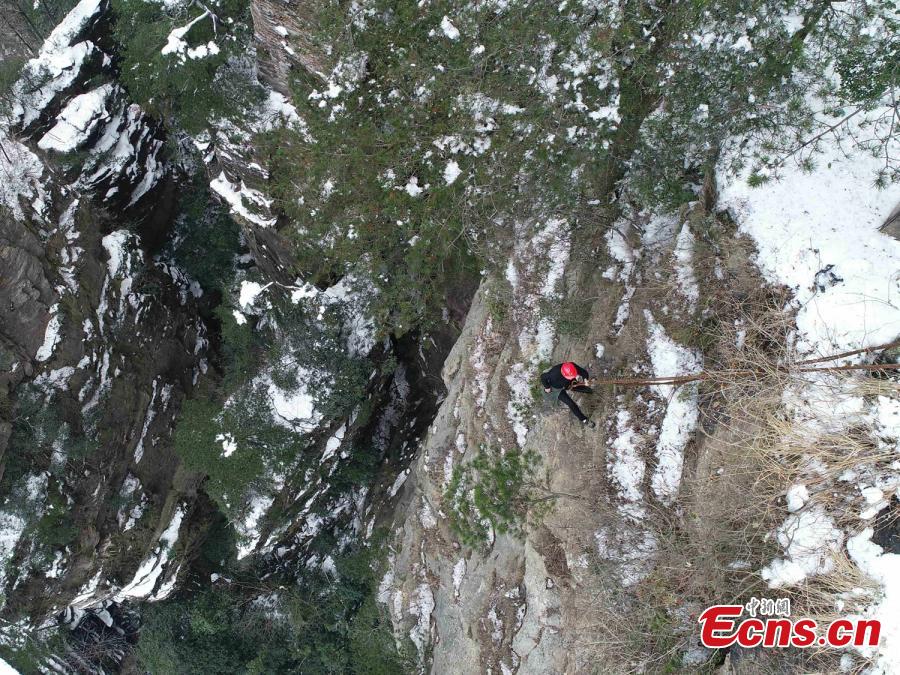 Su Songyun braves the winter cold to abseil down a cliff face and collect rubbish at the Huangshizhai scenic area in Zhangjiajie City, Central China\'s Hunan Province, Jan. 15, 2019. The 34-year-old local farmer began learning the stunt from his father in 2005, and his daredevil antics entertain tourists and enable him to collect garbage otherwise inaccessible on the mountain slope. (Photo: China News Service/Wu Yongbing)
