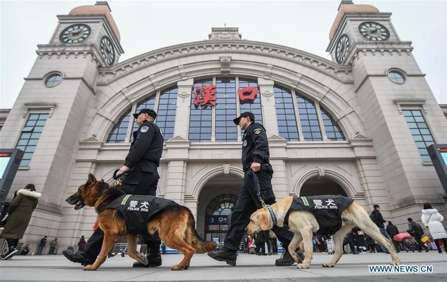 Police dogs \