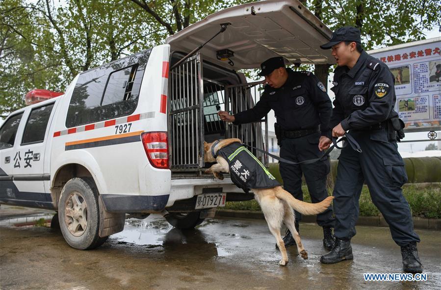 Police dog \