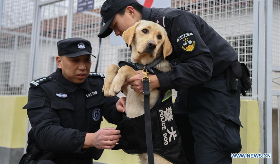 Trainers Ding Yan (R) and Zhang Ning dress police dog \