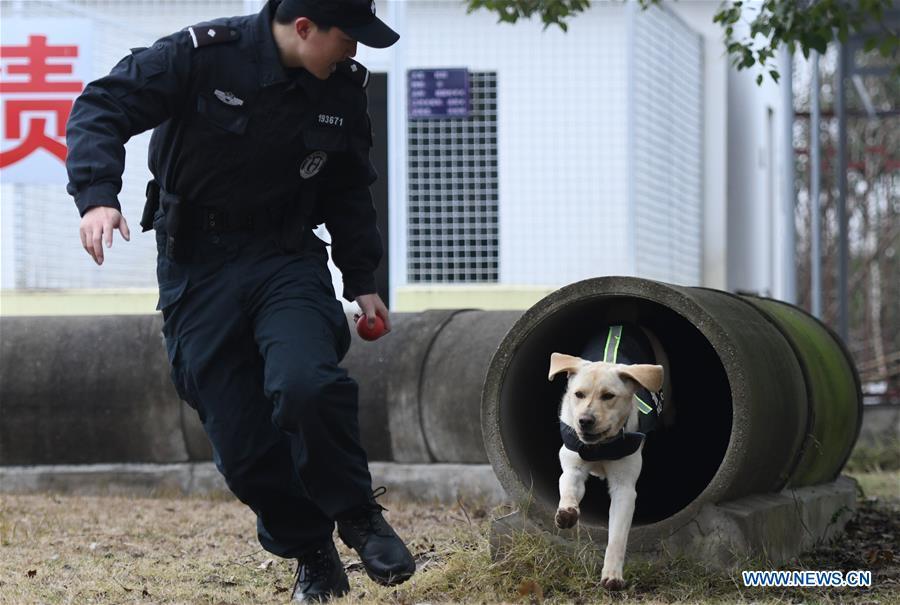 Police dog \