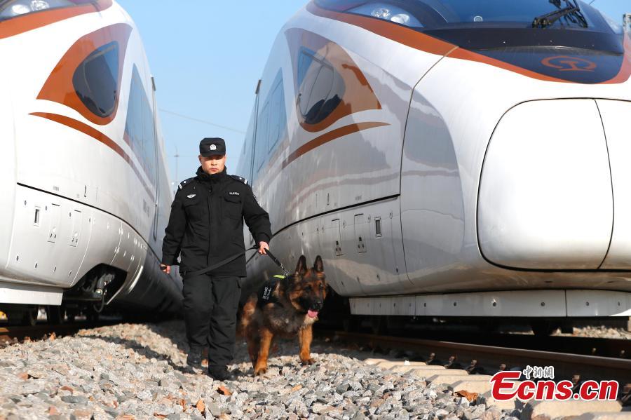 A police dog is seen completing a safety patrol at a bullet train service station in Beijing, Jan. 17, 2019. Beijing police have increased security checks on trains at the service station for routine inspections and maintenance as the Spring Festival travel rush approaches. (Photo: China News Service/Fu Tian)