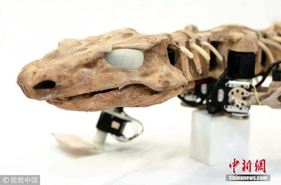European researchers have animated a prehistoric four-legged creature that lived before the dinosaurs by studying its gait and making a robotic model that can walk the earth just like its prototype 280 million years ago. The robot lizard was created using \