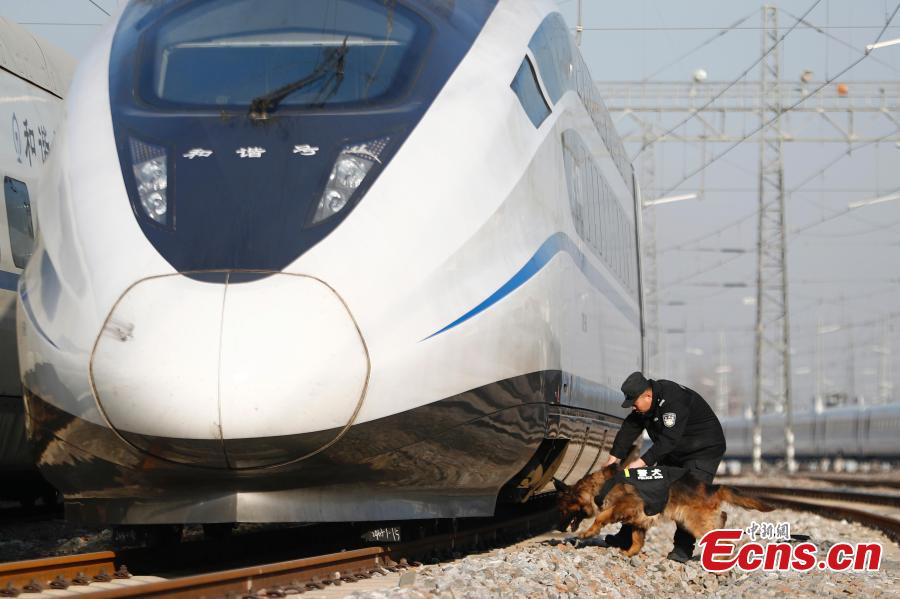 A police dog is seen completing a safety patrol at a bullet train service station in Beijing, Jan. 17, 2019. Beijing police have increased security checks on trains at the service station for routine inspections and maintenance as the Spring Festival travel rush approaches. (Photo: China News Service/Fu Tian)