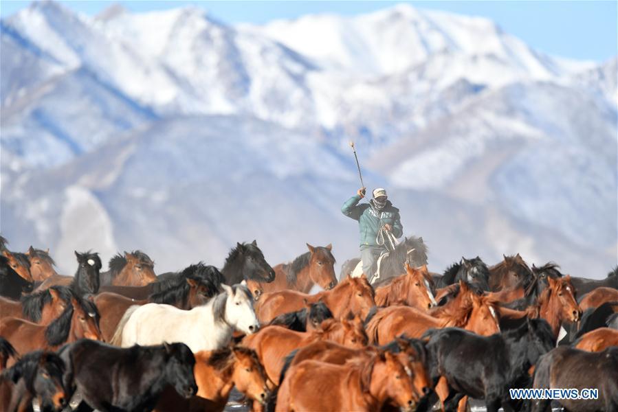 A herdsman keeps the herd together at the snow-covered Shandan Ranch with the Qilian Mountains in the background in Shandan County of Zhangye City, northwest China\'s Gansu Province, Jan. 23, 2019. (Xinhua/Chen Bin)