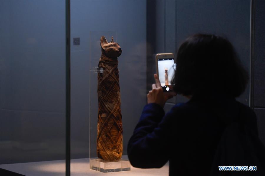 A visitor takes pictures of a cat mummy displayed in an exhibition of ancient Egyptian civilization at Zhejiang West Lake Gallery in Hangzhou, capital of east China\'s Zhejiang Province, Jan. 30, 2019. A total of 180 cultural relics from Italian museums are displayed in an exhibition of ancient Egyptian civilization from Jan. 22 to May 5, 2019. (Xinhua/Huang Zongzhi)