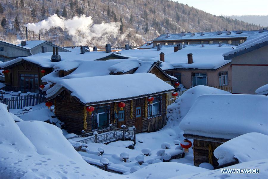 Photo on Jan. 31, 2019 shows the view of Shuangfeng Forest Farm in Mudanjiang City, northeast China\'s Heilongjiang Province. The Shuangfeng Forest Farm witnesses frequent snowfalls and is covered with snow for most of the year. The beautiful snow scenery here attracts many visitors from at home and abroad every year. (Xinhua/Yang Siqi)