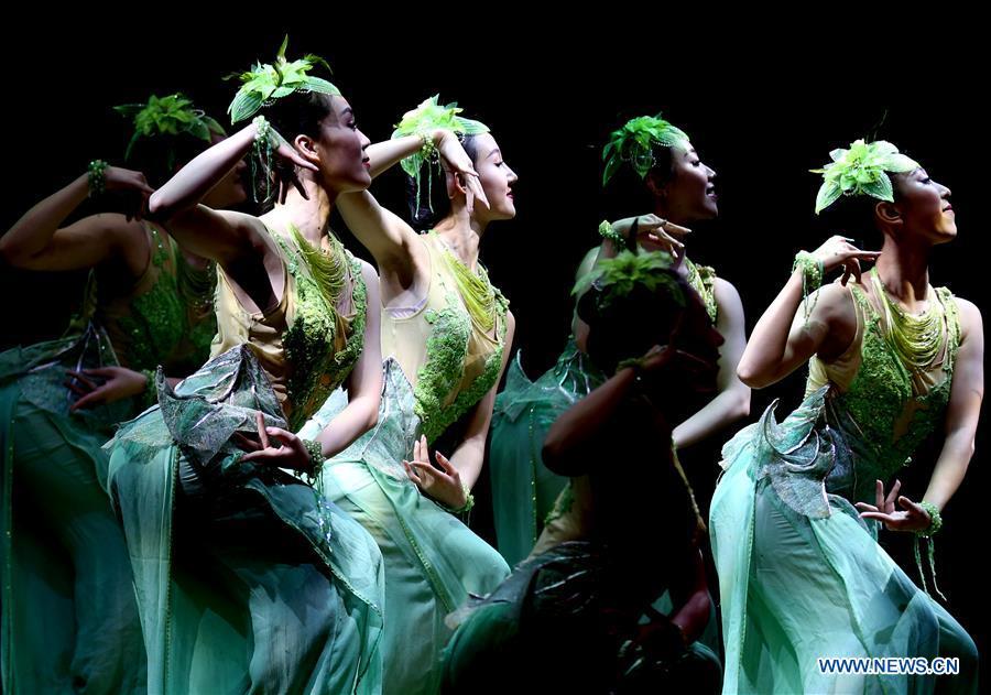 Artists from China perform at the Gala Show of Paukphaw Carnival for Happy Chinese New Year 2019 in Yangon, Myanmar, on Jan. 30, 2019. (Xinhua/U Aung)