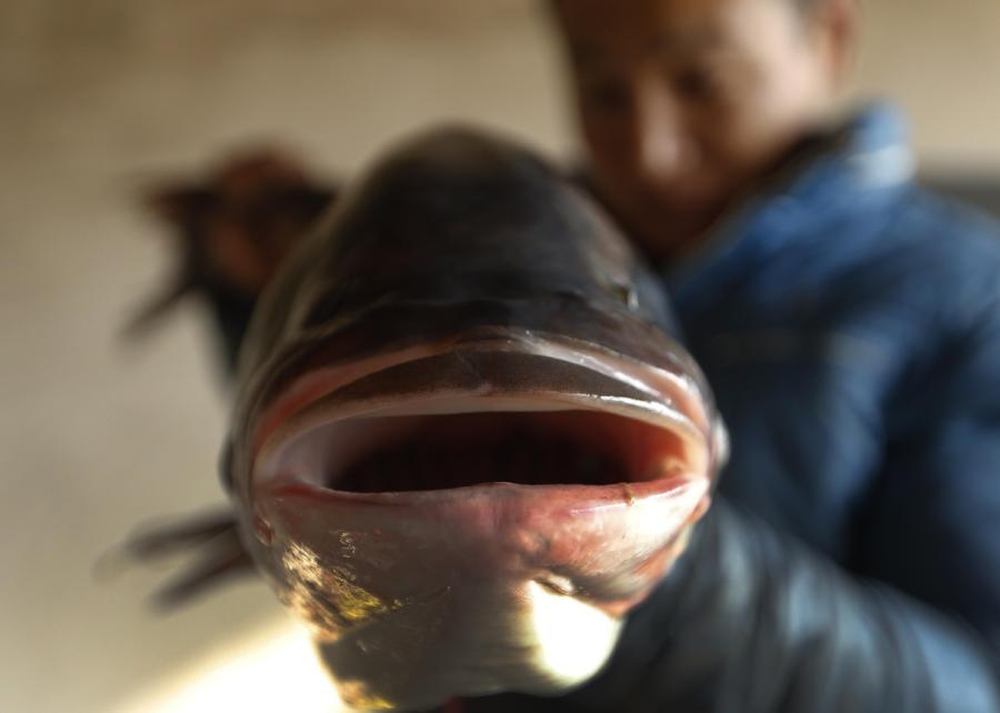 A man shows off the fish he caught from Yeya Lake. (Photo by Tian Baoxi/Provided to chinadaily.com.cn)