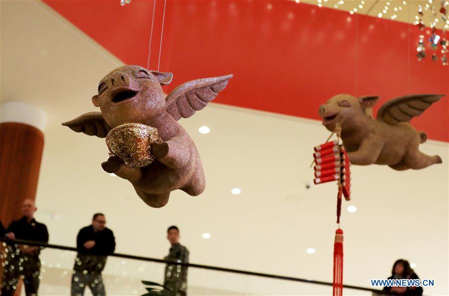 Decorations of the year of the pig are seen at a Chinese Lunar New Year celebration at South Coast Plaza in Costa Mesa, California, the United States, on Jan. 31, 2019. South Coast Plaza held a variety of activities such as dragon dance, lion dance, singing and dancing shows to celebrate the upcoming Chinese Lunar New Year. (Xinhua/Li Ying)