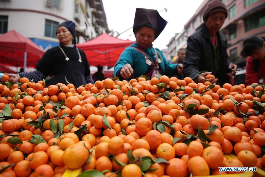 Customers select oranges at a local market in Danzhai County, southwest China\'s Guizhou Province, Jan. 31, 2019. People are busy buying goods in Guizhou for the upcoming Spring Festival, which falls on Feb. 5 this year. (Xinhua/Huang Xiaohai)