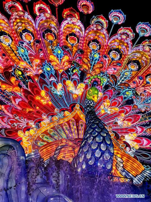 Photo taken on Feb. 5, 2019 shows a peacock-shaped lantern at a lantern fair held in Zigong, southwest China\'s Sichuan Province. Over 130 lantern groups were displayed at the event. (Xinhua/Zhang Chaoqun)