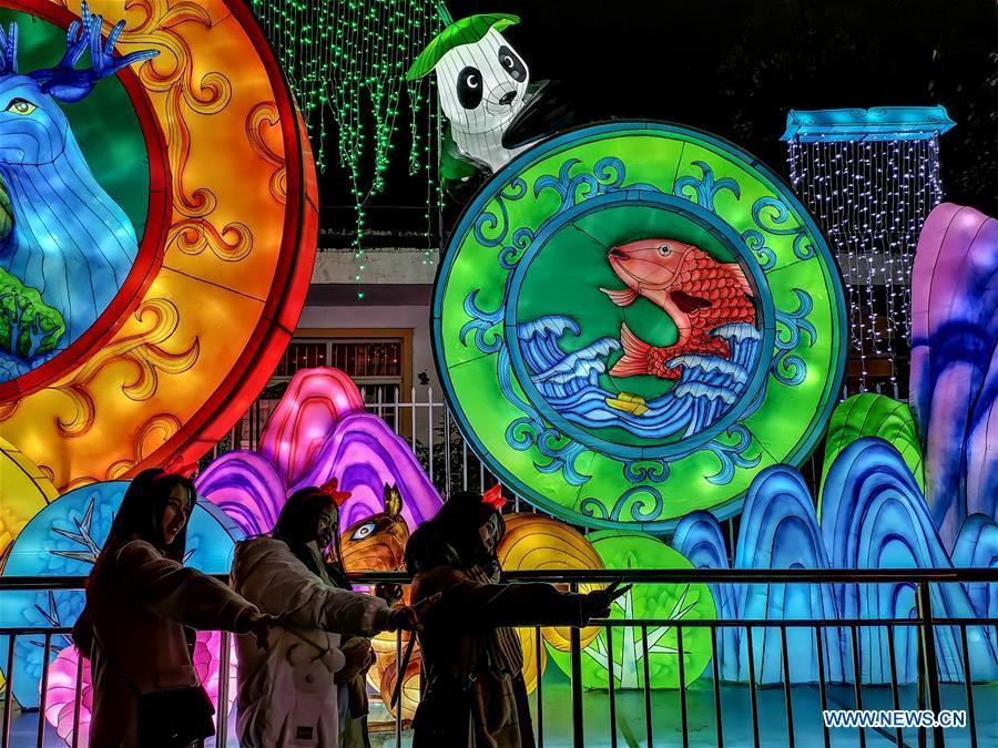 Tourists pose for photos in front of lanterns during a lantern fair held in Zigong, southwest China\'s Sichuan Province, Feb. 5, 2019. Over 130 lantern groups were displayed at the event. (Xinhua/Zhang Chaoqun)