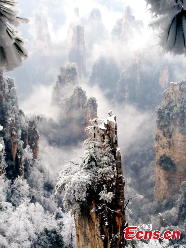 Mountains and plants are covered with ice as clouds float by at the Tianzi Mountain scenic area in Zhangjiajie City, Central China\'s Hunan Province, Feb. 11, 2019. (Photo: China News Service/Deng Daoli)