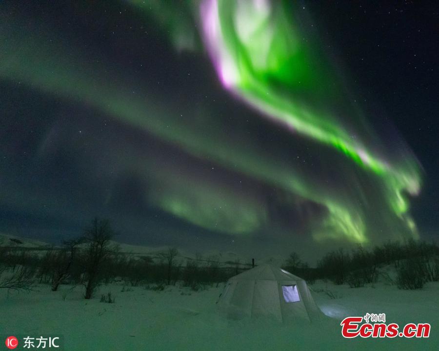 A photo taken in Abisko, Sweden shows the stunning northern lights look like a phoenix in the sky. (Photo/IC)
