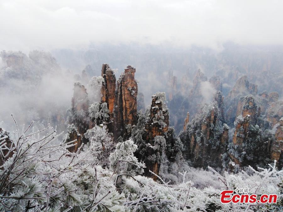 Mountains and plants are covered with ice as clouds float by at the Tianzi Mountain scenic area in Zhangjiajie City, Central China\'s Hunan Province, Feb. 11, 2019. (Photo: China News Service/Deng Daoli)
