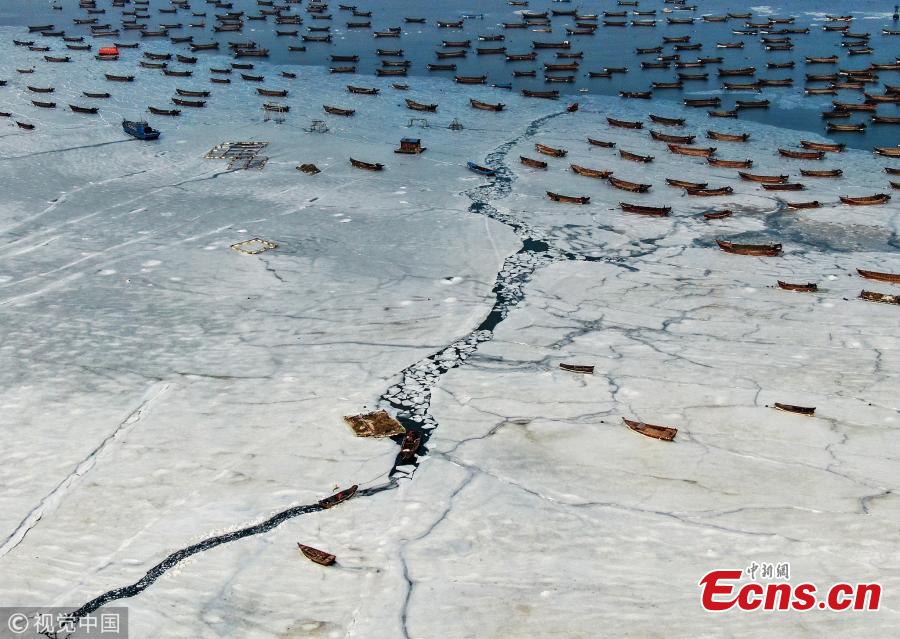 Boats are stranded in frozen sea at a port in Dalian City, Northeast China\'s Liaoning Province amid a cold front. A fisherman had to break ice to transport supplies to a marine fish culture zone. (Photo/VCG)
