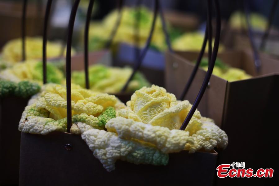 Photo shows the rose-like Chinese cabbage, developed by Professor Hou Xilin, at the College of Horticulture, Nanjing Agricultural University, Feb. 13, 2019. Students have launched a start-up to market the Chinese cabbage, which is smaller in size, rose-shaped and better tasting, both online and offline. (Photo: China News Service/Yang Bo)