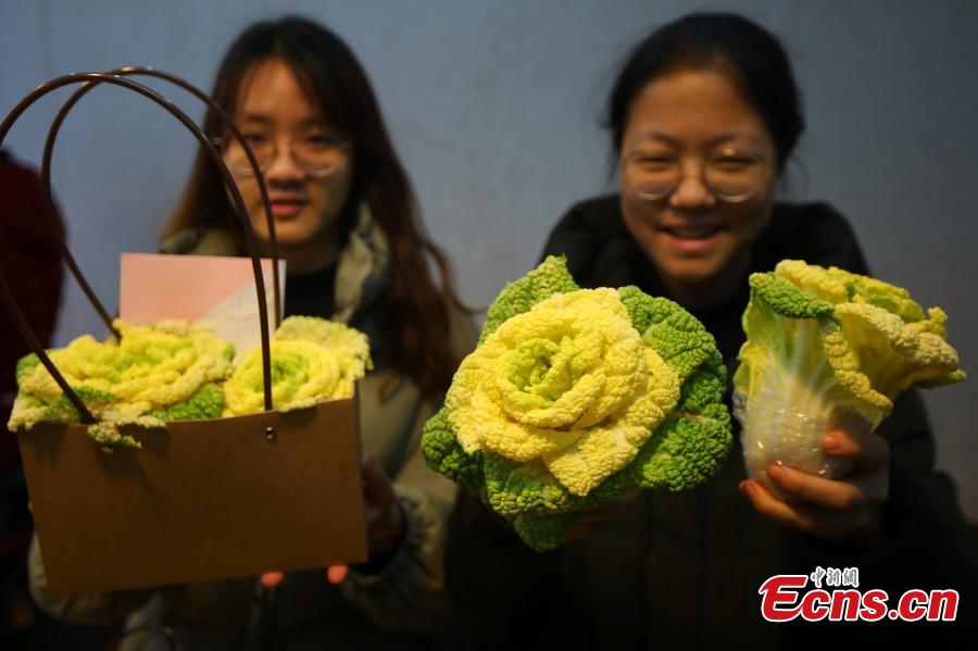 Students package a new breed of Chinese cabbage, developed by Professor Hou Xilin, at the College of Horticulture, Nanjing Agricultural University, Feb. 13, 2019. Students have launched a start-up to market the Chinese cabbage, which is smaller in size, rose-shaped and better tasting, both online and offline. (Photo: China News Service/Yang Bo)