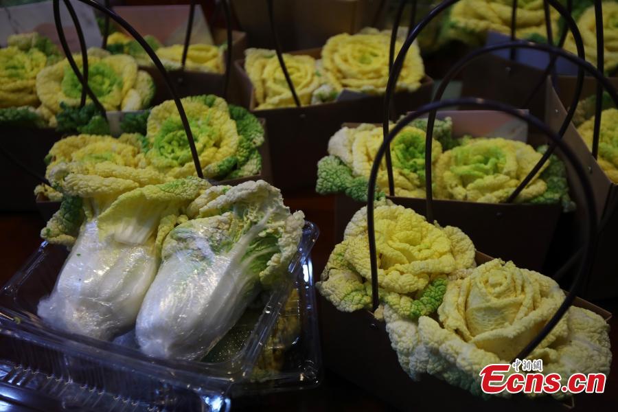 Photo shows the rose-like Chinese cabbage, developed by Professor Hou Xilin, at the College of Horticulture, Nanjing Agricultural University, Feb. 13, 2019. Students have launched a start-up to market the Chinese cabbage, which is smaller in size, rose-shaped and better tasting, both online and offline. (Photo: China News Service/Yang Bo)