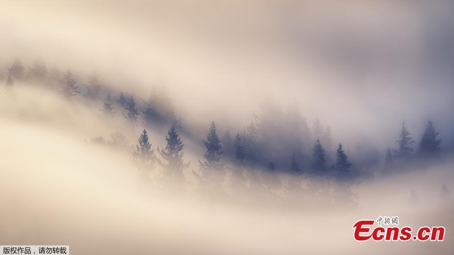 The winners of the fifth International Landscape Photographer of the Year competition have been announced. There were almost 3,000 entries from 863 photographers around the globe. (Photo/VCG)