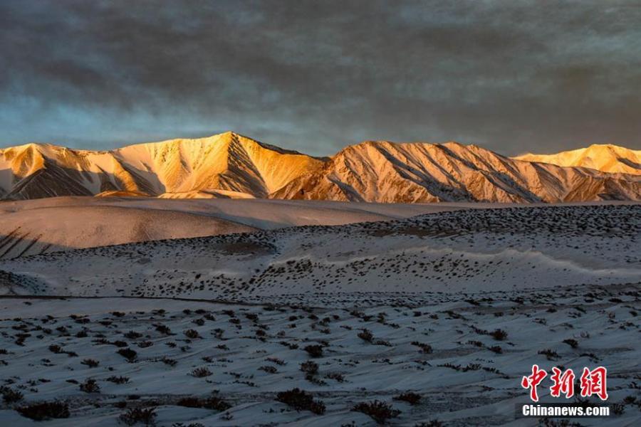 Wild animals are seen on the grasslands of the Yanchiwan National Nature Reserve in Subei County, Jiuquan City, Gansu Province, Feb. 14, 2019. The nature reserve, an important wetland, is home to many rare wild animals under state protection, such as the snow leopard and wild yak. In recent years, the county has strengthened its awareness campaign to boost wildlife protection.  (Photo: China News Service/Wang Binyin)