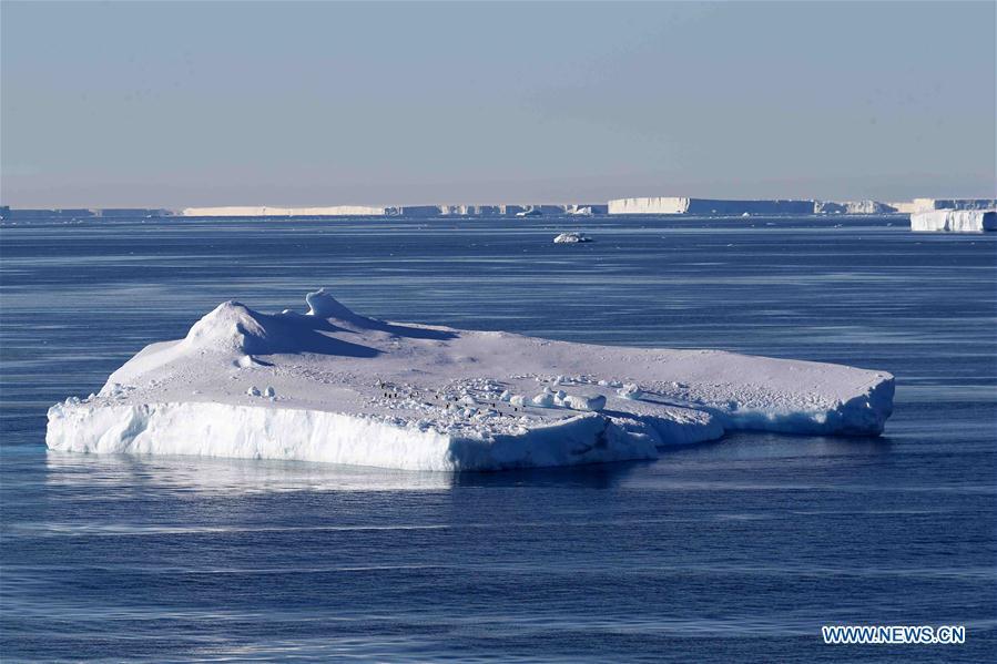 Photo taken on Feb. 15, 2019 shows icebergs in waters near the West Ice Shelf in Antarctica. China\'s research icebreaker Xuelong, with 126 crew members aboard on the 35th Antarctic research mission, on Thursday local time left the Zhongshan Station on its way back to China. It is expected to arrive in Shanghai in mid-March. (Xinhua/Liu Shiping)