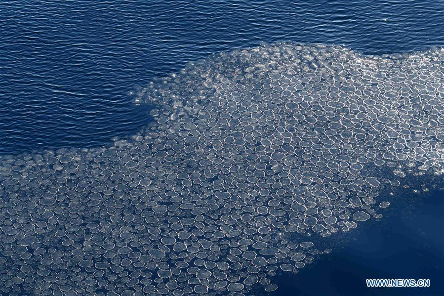 Photo taken on Feb. 15, 2019 shows newly formed ice in the sea of Antarctica. China\'s research icebreaker Xuelong, with 126 crew members aboard on the 35th Antarctic research mission, on Thursday local time left the Zhongshan Station on its way back to China. It is expected to arrive in Shanghai in mid-March. (Xinhua/Liu Shiping)