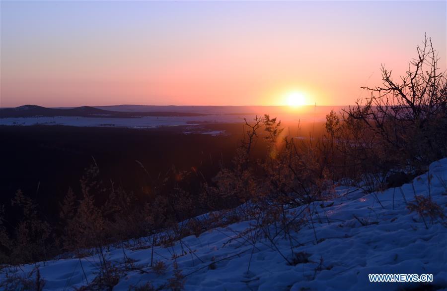Photo taken on Feb. 20, 2019 shows a view of the Moheertu national wetland park in Ewenki Autonomous Banner of Hulun Buir, north China\'s Inner Mongolia Autonomous Region. (Xinhua/Ren Junchuan)