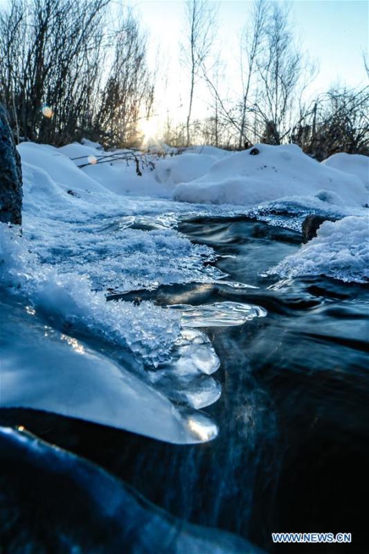 Photo taken on Feb. 20, 2019 shows a view of the Moheertu national wetland park in Ewenki Autonomous Banner of Hulun Buir, north China\'s Inner Mongolia Autonomous Region. (Xinhua/Yu Dongsheng)