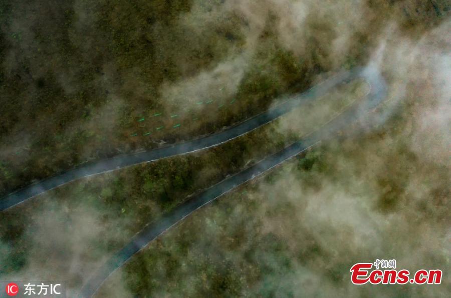 An aerial photo shows bends on a road in the Qibainong National Geological Park, located in Dahua Yao Autonomous County in South China\'s Guangxi Zhuang Autonomous Region, Feb. 20, 2019. The park features a unique karst landscape with mountain ranges, low-lying lands, valleys, caves, underground rivers, and an abundance of fossils. (Photo/IC)