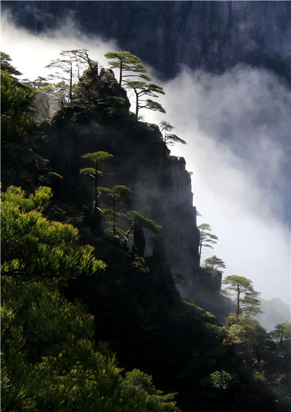 A view of Huangshan Mountain after the snowy weather in East China\'s Anhui Province, Feb. 19, 2019. (Photo/Asianewsphoto)