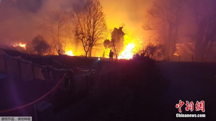 A wildfire burns in a forest on the Mediterranean island of Corsica, Feb. 25, 2019. French firefighters are trying to contain the fire, which has already scorched a large. area on the island. (Photo/Agencies)