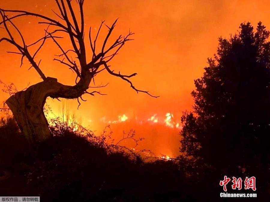 A wildfire burns in a forest on the Mediterranean island of Corsica, Feb. 25, 2019. French firefighters are trying to contain the fire, which has already scorched a large. area on the island. (Photo/Agencies)
