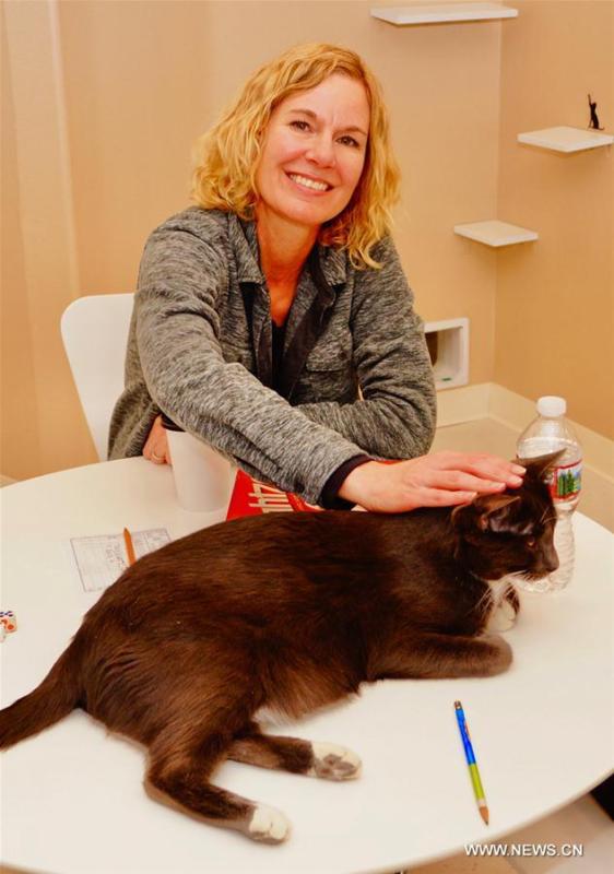 A customer interacts with a cat at Catopia Cat Cafe in Albuquerque, New Mexico, the United States on Feb. 24, 2019. Customers at Catopia Cat Cafe, having only been open for a few months in Albuquerque in the U.S. state of New Mexico, can spend as much time as they want with about a dozen adoptable cats while having coffee and browsing the web. Internet coffee shops that have cats up for adoption is a new trend in the United States today, and there are about one hundred cat cafes around the country. (Xinhua/Richard Lakin)