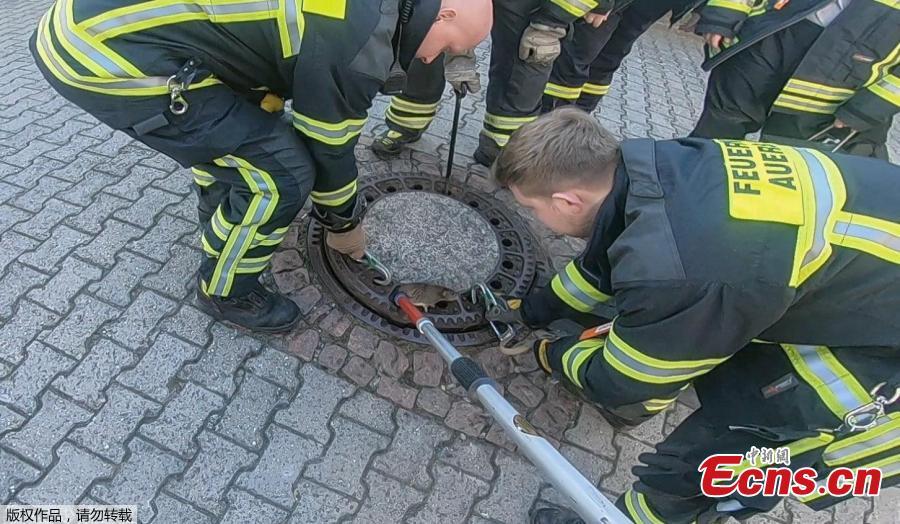 Nine rescue workers in the German town of Bensheim have saved a rat with \