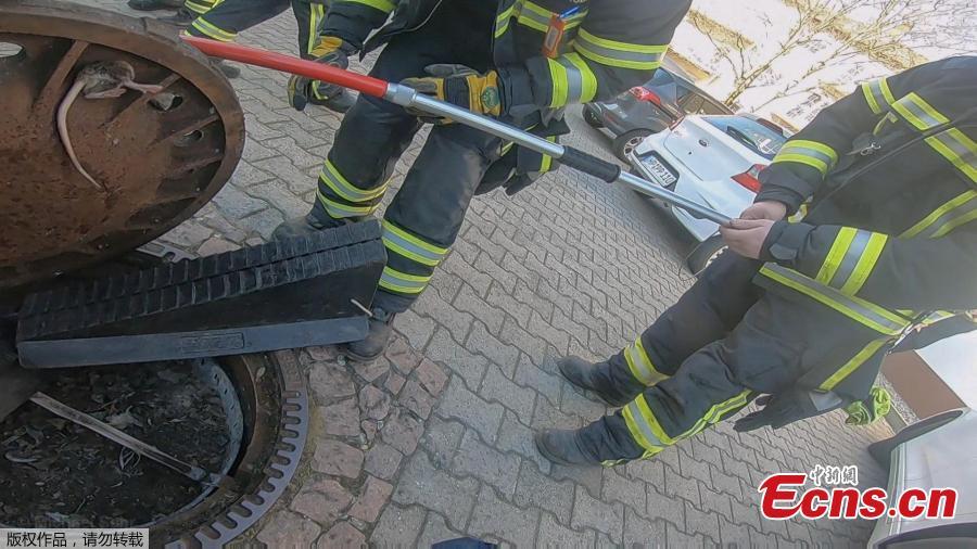 Nine rescue workers in the German town of Bensheim have saved a rat with \