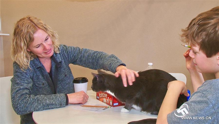 Two customers interact with a cat at Catopia Cat Cafe in Albuquerque, New Mexico, the United States on Feb. 24, 2019. Customers at Catopia Cat Cafe, having only been open for a few months in Albuquerque in the U.S. state of New Mexico, can spend as much time as they want with about a dozen adoptable cats while having coffee and browsing the web. Internet coffee shops that have cats up for adoption is a new trend in the United States today, and there are about one hundred cat cafes around the country. (Xinhua/Richard Lakin)