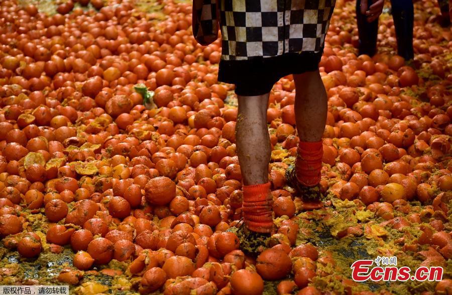 A reveler stands within smashed oranges as different teams take part in a fight with oranges during an annual carnival battle in Ivrea, Italy, March 3, 2019. (Photo/Agencies)