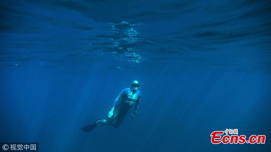 Kiwi freediver William Trubridge has successfully swum the Cook Strait after nine hours in the 22-km journey. The freedive world champion left Wellington on Friday morning to swim to the South Island underwater using a special fin to raise awareness of critically endangered Hector\'s and Māui dolphins. (Photo/VCG)