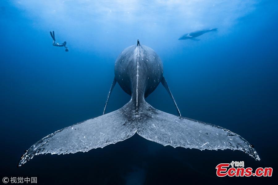 Wider Angle category winner: \