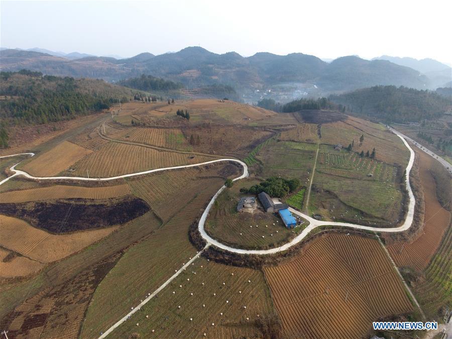 Aerial Photo taken on March 12, 2019 shows the winding concrete road at Xiangping Village of Luping Township in Fuquan City, Bouyei-Miao Autonomous Prefecture of Qiannan, southwest China\'s Guizhou Province. The concrete road project in Guizhou was launched in August, 2017. Up to now, Guizhou has seen 77,700 kilometers of rural roads built or renovated with nearly 40,000 villages connected by concrete roads. Tens of millions of rural people benefit from the project. (Xinhua/Xiao Wei)