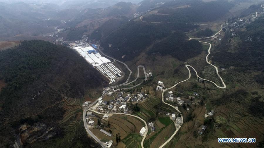 Aerial Photo taken on March 5, 2019 shows the winding concrete road at Xintian Village of Shuangping Township in Hezhang County, southwest China\'s Guizhou Province. The concrete road project in Guizhou was launched in August, 2017. Up to now, Guizhou has seen 77,700 kilometers of rural roads built or renovated with nearly 40,000 villages connected by concrete roads. Tens of millions of rural people benefit from the project. (Xinhua/Shang Yujie)
