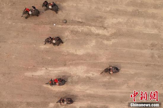 Mahouts race their elephants during the Buon Don elephant festival in Vietnam\'s central highlands of Dak Lak province, March 12, 2019. Locals say the race is a celebration of the much-revered animals -- traditionally thought of as family members in this part of Vietnam -- but conservation groups are calling for an end to the festival, which they say is cruel and outdated. (Photo/Agencies)