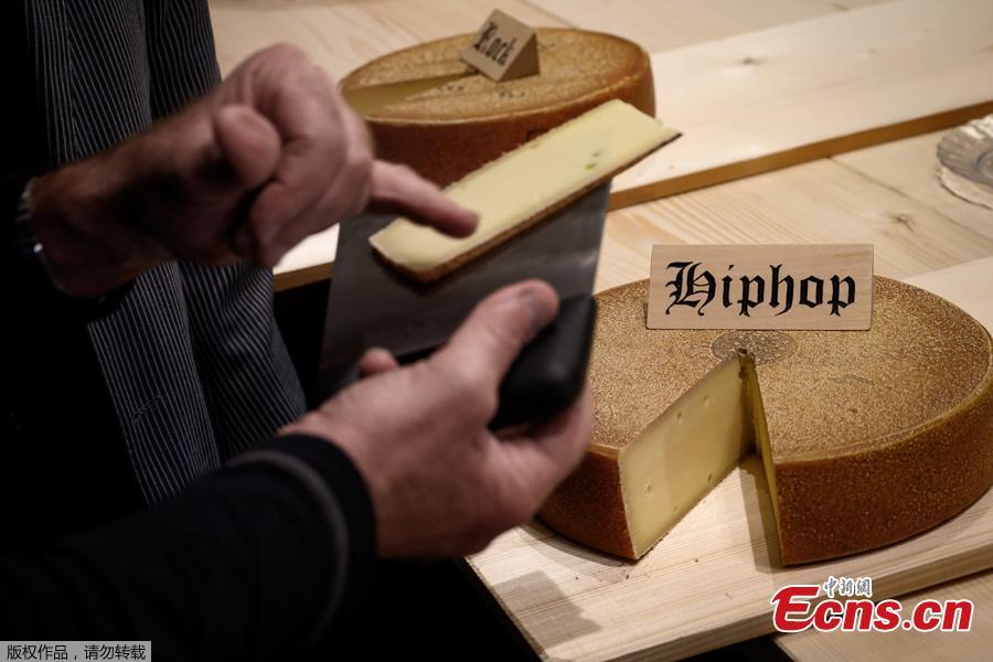 This picture taken on March 14, 2019 shows a round of cheese that has been matured for 6 month with hip hop music, on the final day of an experiment conducted by the University of the Arts in Berthoud, in the Emmental region, central Switzerland. Beat Wampfler, a Swiss veterinarian by day, but consumate apron-wearing cheese enthusiast at night, has embarked on an experiment to test the impact of music on Emmental. Since last September, the cheeses have each been blasted with sonic masterpieces from the likes of rock gods Led Zeppelin or hip-hop legends A Tribe Called Quest to techno beats, ambient choirs and Mozart\'s classic Magic Flute. A jury of expert tasted the cheeses on March 14, 2019 and the tasty winner the cheese matured with the hip-hop album. (Photo/Agencies)